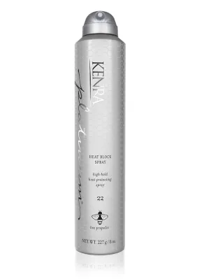 Kenra Professional Heat Block Spray #22