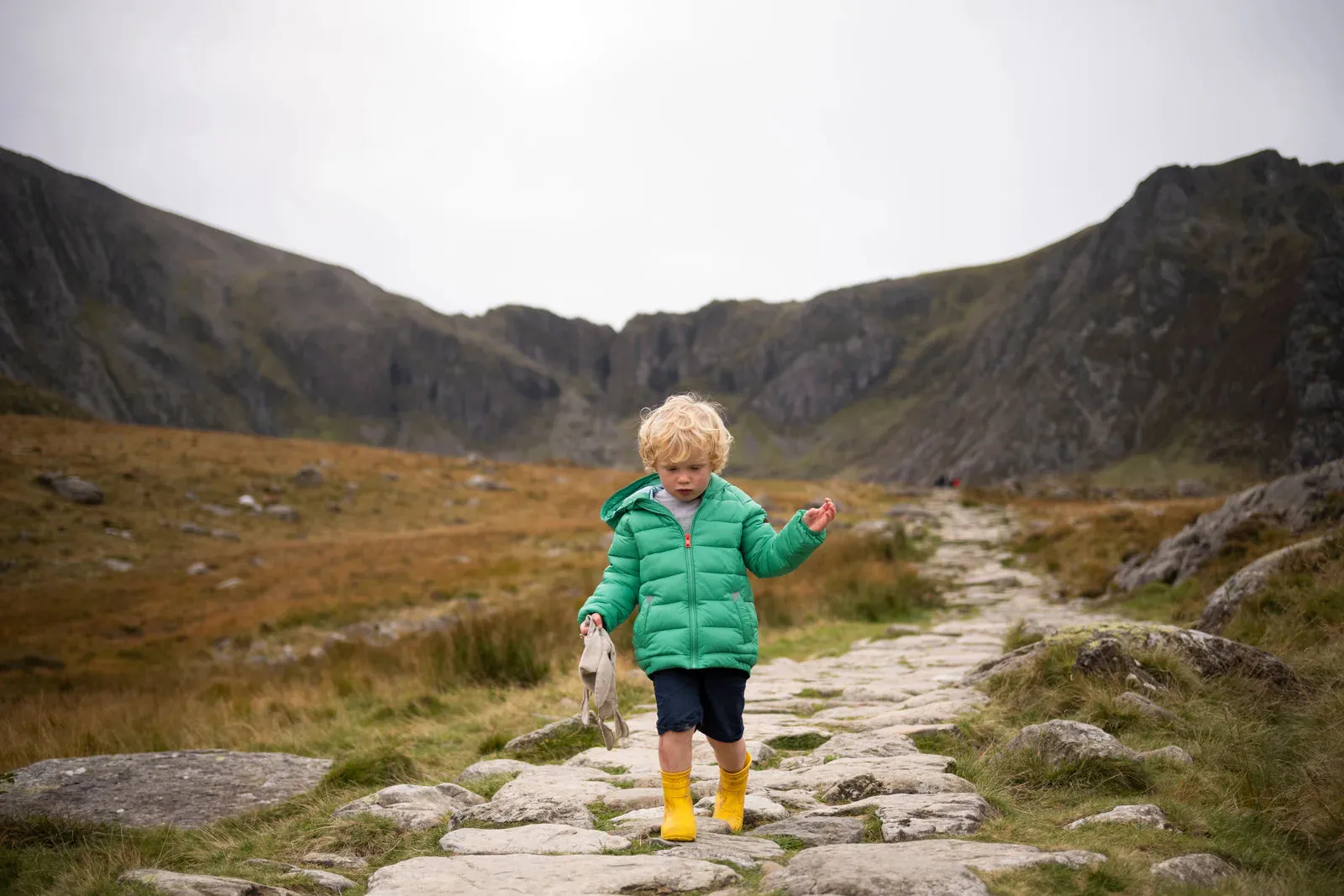 Pack-A-Way Puffer in Mountain Green