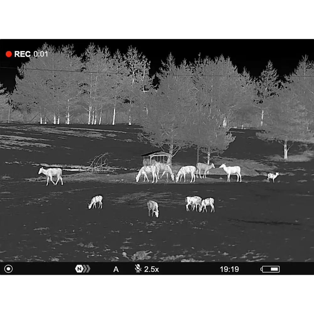 Pulsar Telos XP50 Thermal Monocular